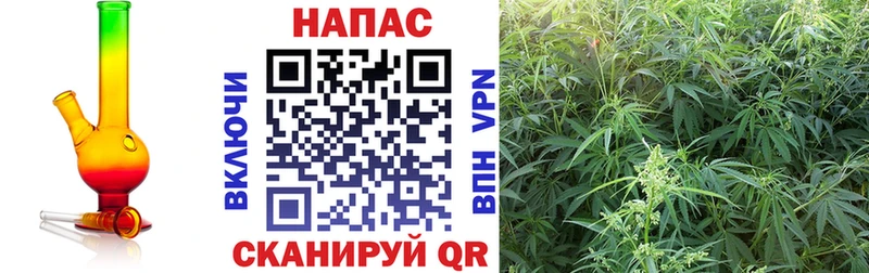 Все наркотики Болгар Alpha PVP COCAIN ГАШ Псилоцибиновые грибы Канабис