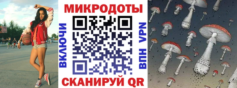 купить наркоту  Болгар  Галлюциногенные грибы Cubensis 